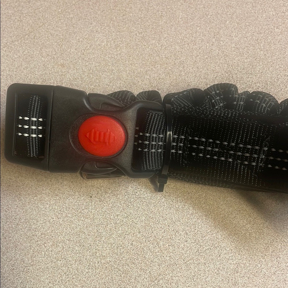 Car seat restraint